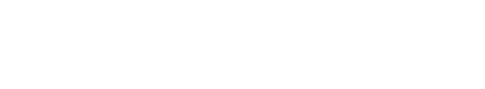 Blink Security Ltd